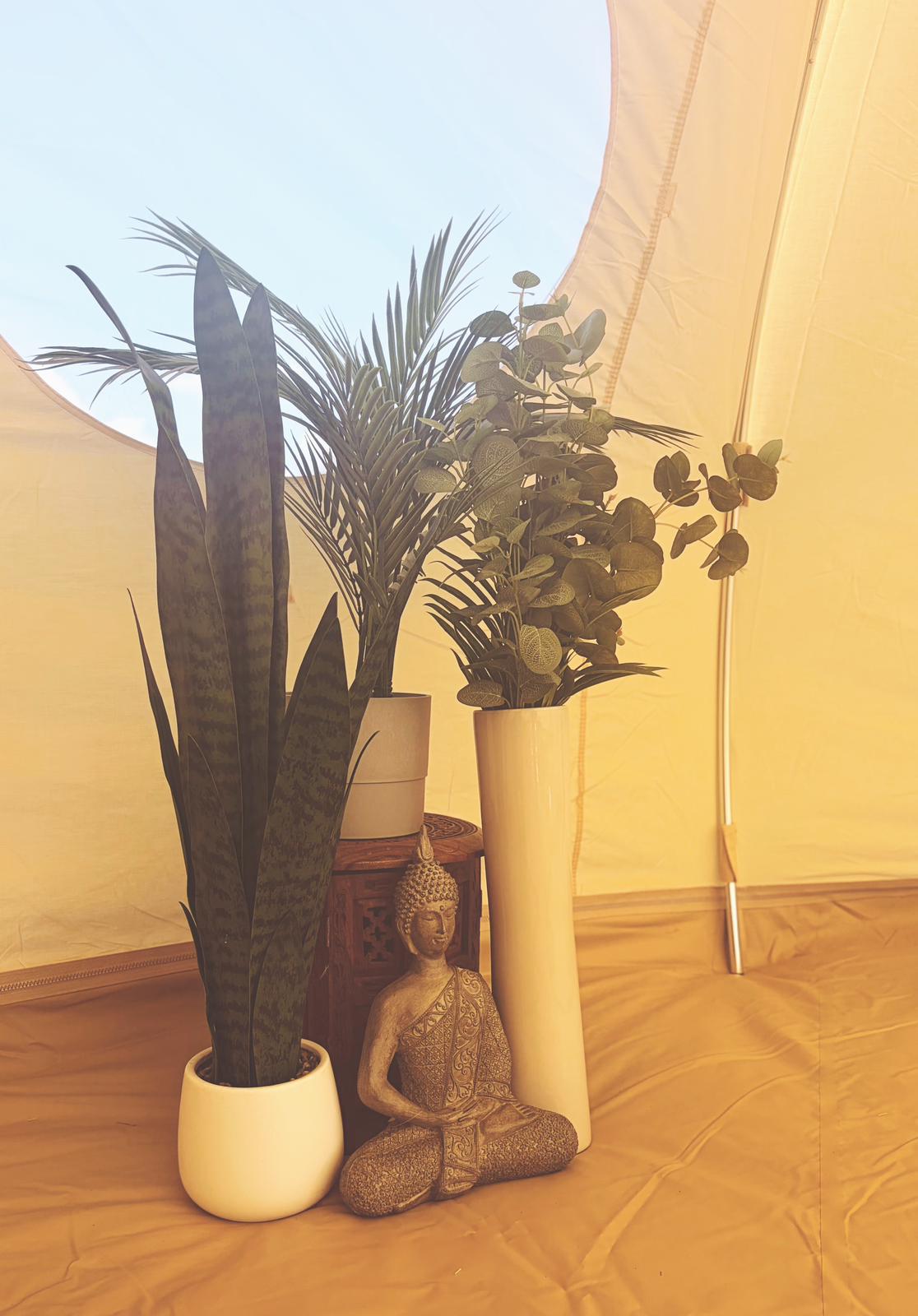 Relaxing Luna meditation space